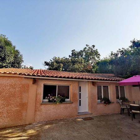 Maison De Village Proche Commodites Murato Exteriér fotografie